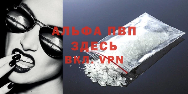 Альфа ПВП Горняк