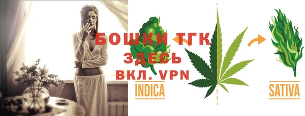 Альфа ПВП Горняк