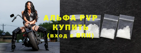 Альфа ПВП Горняк