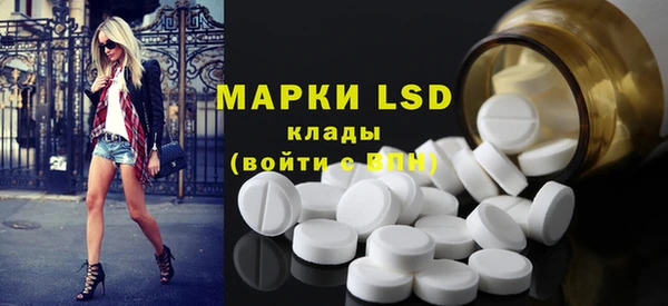 Альфа ПВП Горняк